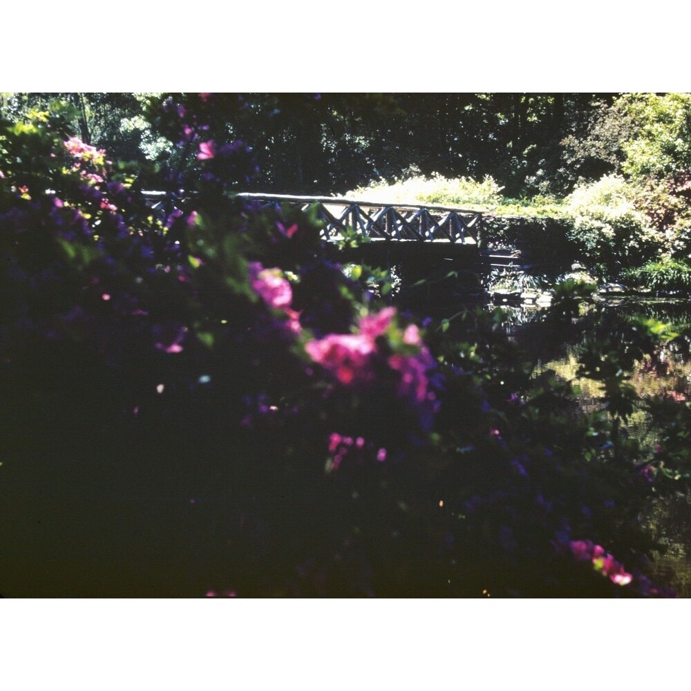 Kodak Slide 35mm 1940s Red Border, Rustic Bridge, Bellingrath Gardens, Al #2